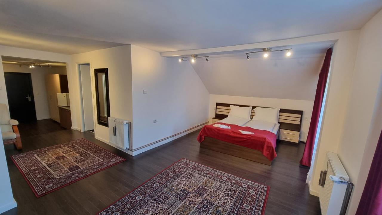 Vila Parc Cluj-Napoca Eksteriør billede