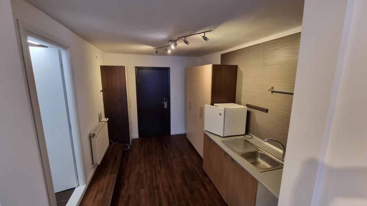 Vila Parc Cluj-Napoca Eksteriør billede